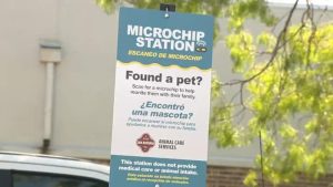 San Antonio Fire Stations Add Free Microchip Scanners To Aid Lost Pet Reunions