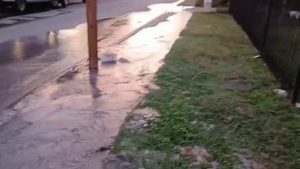 San Antonio Water System Cites Clay Soils As Cause Of Repeated Water Main Breaks