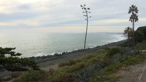 San Clemente Voters Face Measure M Ballot To Fund Beach Restoration And Wildfire