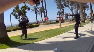 Santa Monica Police Officer Fatally Shoots Armed Man In Crowded Palisades Park
