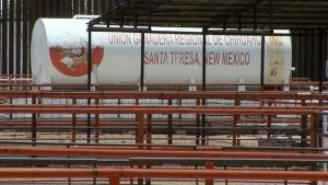 Santa Teresa Cattle Crossing Reopens As Usda Resumes Trade Amid Screwworm Safegu