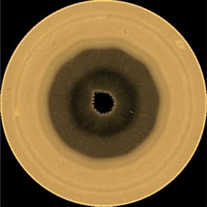 Scientists Discover Massive Decagonal Wave In Saturn S Southern Clouds