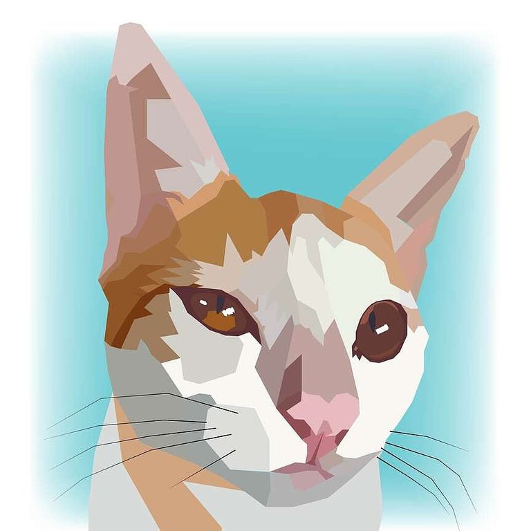 Scientists Explain How Cats Use Meows To Communicate With Humans