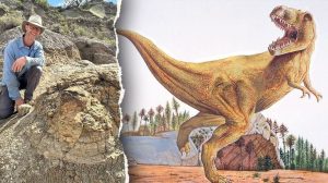 Scientists Uncover First Adult T Rex Trackway In North Dakota S Badlands