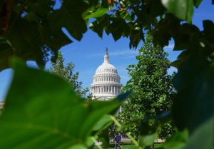 Senate Republicans Push Data Center Bill Ahead Of Midterms With Trump Backing