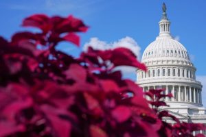 Senate To Debate War Powers Resolution As Gas Prices Surge Trump Defends Iran Mi