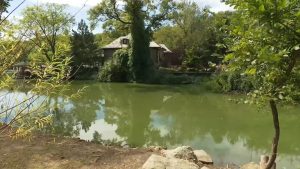 Sewage Leak Forces Closure Of Fishing And Boating At Staten Island S Clove Lakes