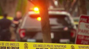 Sherman Oaks Resident Attacked By Intruder Who Jumped From Second Floor Window
