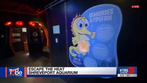 Shreveport Families Can Stay Cool At Sci Port Discovery Center S Indoor Attracti