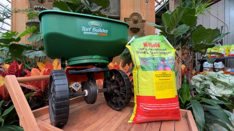 Shreveport Gardeners Urged To Apply Pre Emergent This Labor Day Weekend