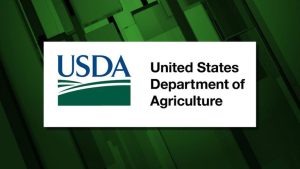 Sisters Ranger District Schedules Public Meeting On Akawa Butte Fire Recovery