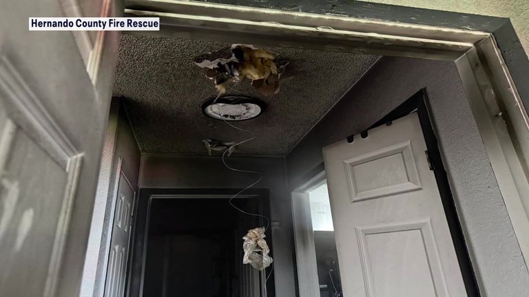 Smart Alexa Camera Alerts Spring Hill Homeowner To Bedroom Fire