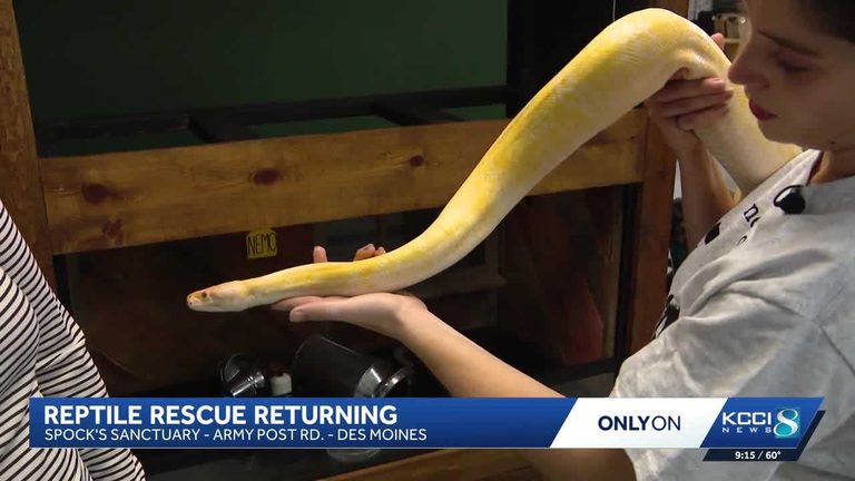 Spock S Sanctuary Begins Moving Reptiles Back To New Des Moines Home
