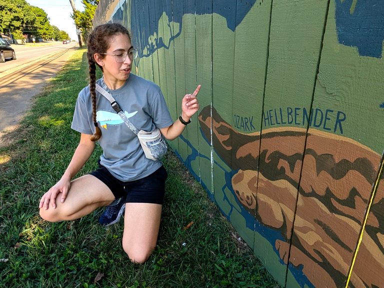Springfield Biology Student Sophie Bryan Completes 90 Foot Wildlife Mural On Bat