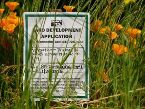 Springfield Council Weighs Annexation For Lane County Behavioral Health Campus