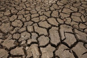 Sri Lanka Temporarily Closes Yala National Park S Main Water Sites To Protect Wi