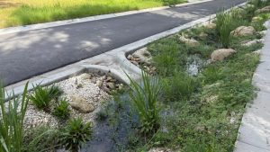 St Augustine Unveils First Green Stormwater System To Reduce Flooding