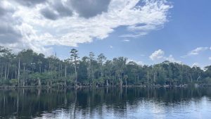 St Johns County Commissioners Consider Legal Challenge To Florida S Agricultural