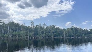 St Johns County Commissioners Reject 1 000 Acre Development Plans