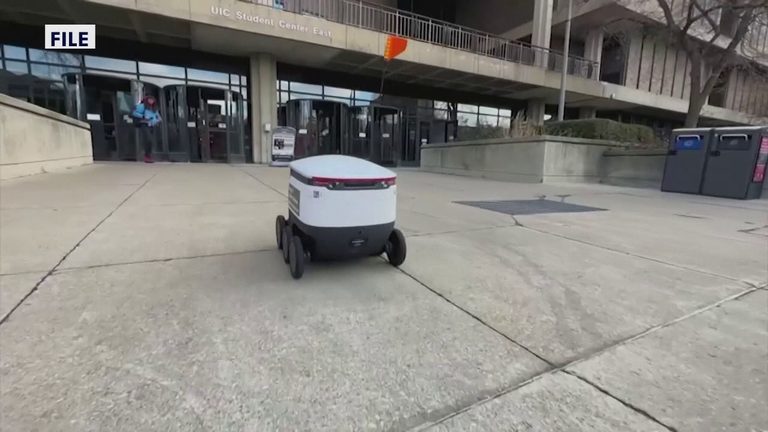St Petersburg Council Explores Robot Food Delivery To Aid Small Restaurants