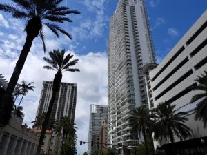 St Petersburg Planning Commission Backs Higher Building Heights To Boost Housing