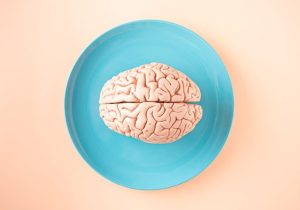 Stanford Researchers Find Human Brain Consists Of Two Distinct Organs
