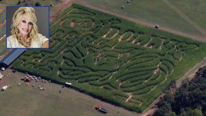 Stewart Farms In Enoree Launches Dolly Parton Themed Corn Maze To Benefit Imagin