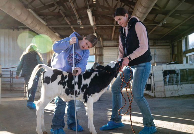 Stride Youth Leadership Conference Brings Dairy Industry Insight To Madison High