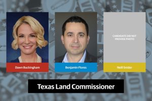 Texas Land Commissioner Race Incumbent Dawn Buckingham Faces Democratic And Libe