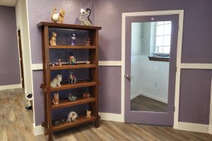 The Purrrfect Lounge Opens Luxury Cat Boarding Facility In Mckinney