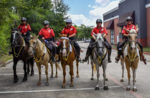 The Woodlands Township Board To Weigh New Mounted Patrol Partnership With Montgo