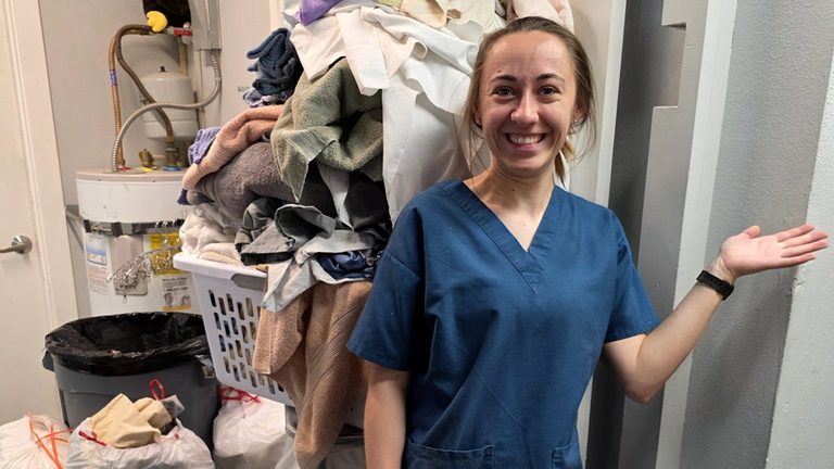 Think Wild Wildlife Hospital Seeks 13 000 For Laundry Equipment Upgrade