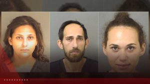 Three Arrested In Boca Raton After 3 700 Best Buy Camera Theft