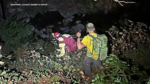 Three Hikers Rescued Overnight After Getting Lost In Big Sur State Park