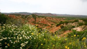 Top Hiking Spots Near Lubbock For Texas Tech Fans Visiting Abilene Christian Gam
