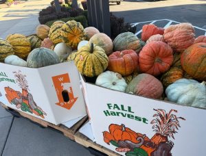 Trader Joe S Brings Downtown Boise A Free Pumpkin Party For Fall