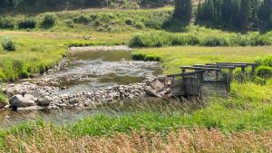 Trout Unlimited Begins Stream Bank Restoration On Dell Creek Near Bondurant