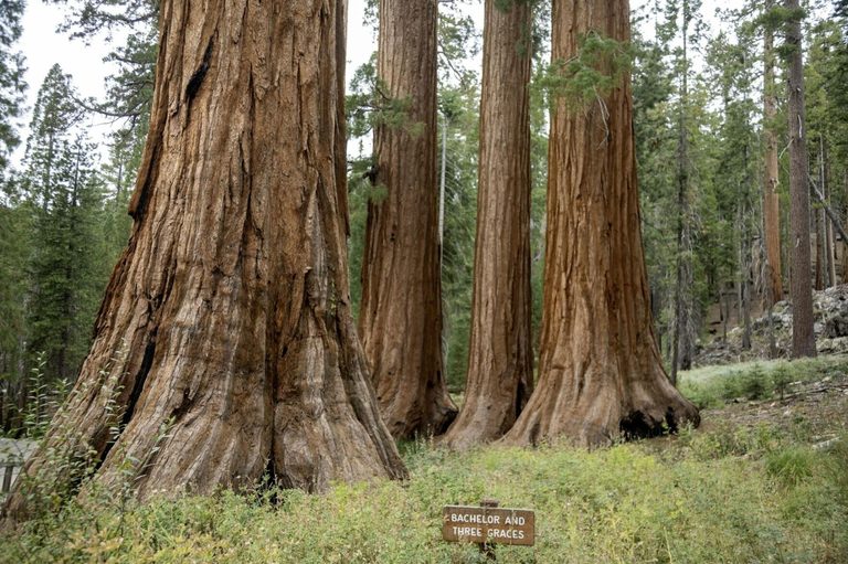 Trump Administration Pushes Yosemite Land Swap Sparking Debate Over Public Land