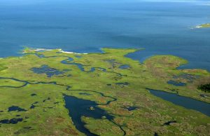 Trump Administration Shifts Chesapeake Bay Restoration To States Promises Econom