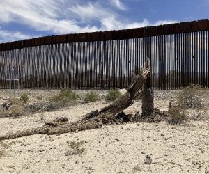Tucson Environmentalists Raise Concerns Over Border Security Construction On Pub