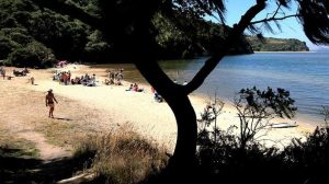 Two Canoeists Found Unresponsive After Midnight Trip On Tomales Bay