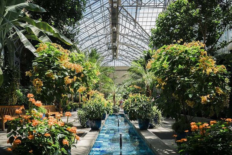 U S Botanic Garden Showcases All 56 State Flowers For America S 250Th
