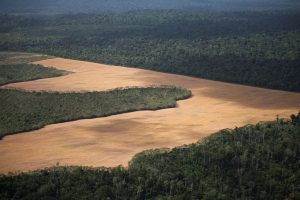 Uk Commits 400 Million Loan To Brazil S Tropical Forests Forever Fund