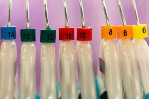 Understanding Why Clothing Sizes Vary Across Brands