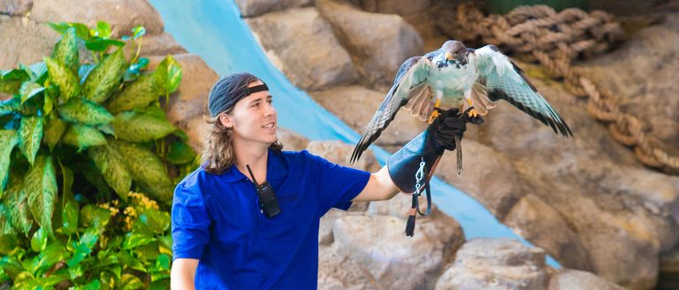 Universal Orlando To End 36 Year Animal Actors Show This November