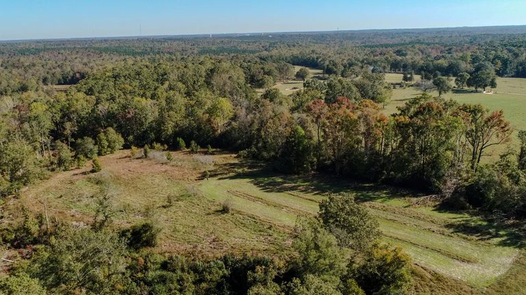 Upstate Forever Secures Permanent Protection For Over 800 Acres In Laurens And U