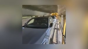 Uvalde Border Patrol Agents Rescue Eight Illegal Immigrants From Hot Rail Car Ne
