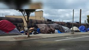 Vancouver City Council Bans Camping Within 1 500 Feet Of New Bridge Shelter