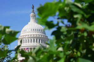 Veteran Tony Sabio Seeks To Unseat Rep Don Beyer In Virginia S 8Th District