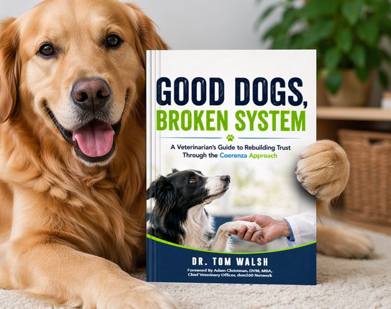 Veterinarian Dr Tom Walsh Launches Dog Care Guide With Myrtle Beach Flash Sale